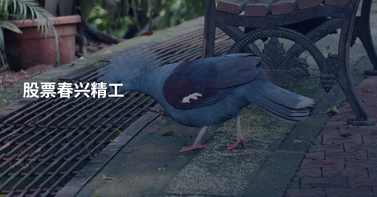 股票春兴精工