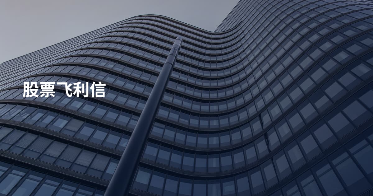 股票飞利信