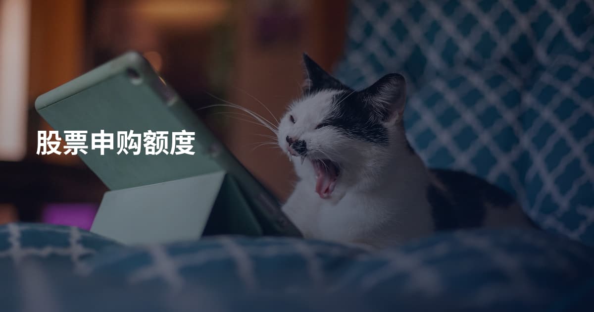 股票申购额度