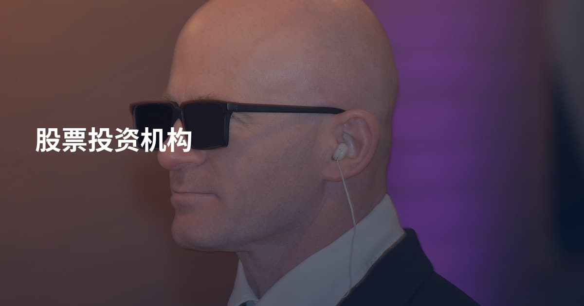 股票投资机构