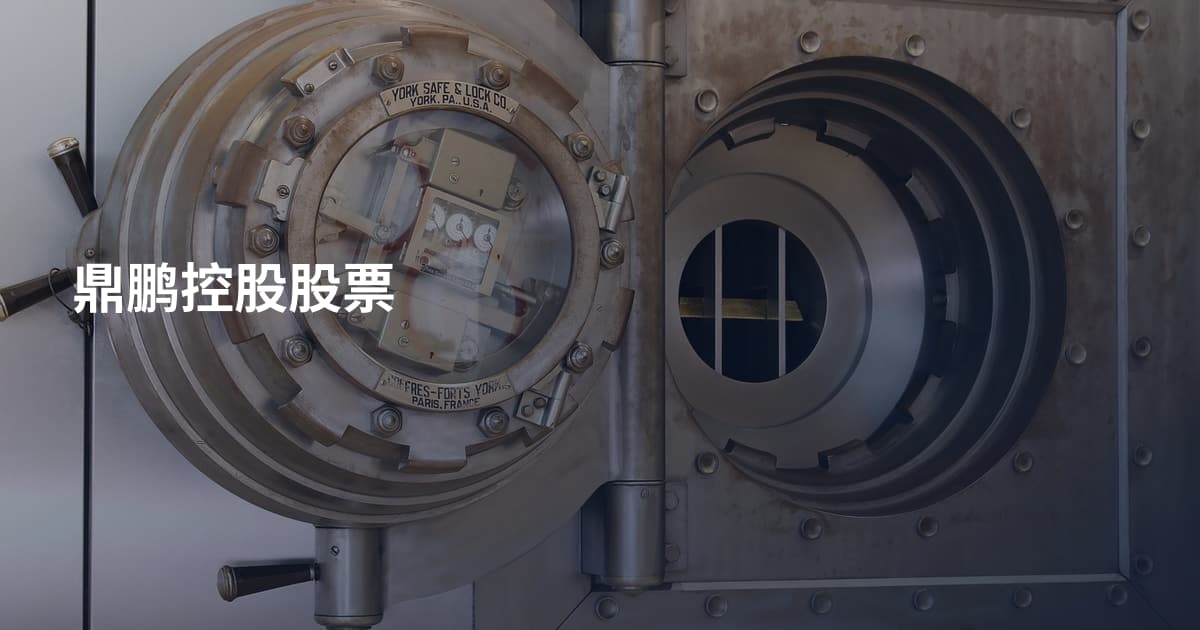 鼎鹏控股股票