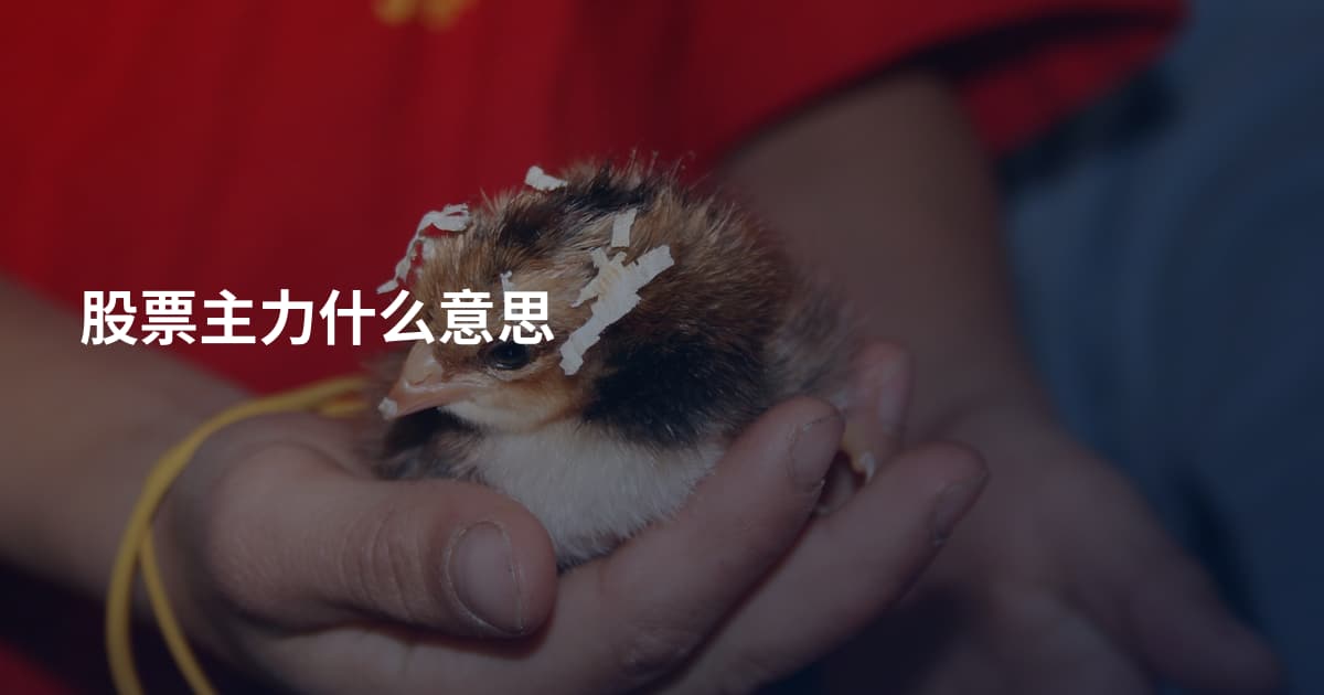 股票主力什么意思