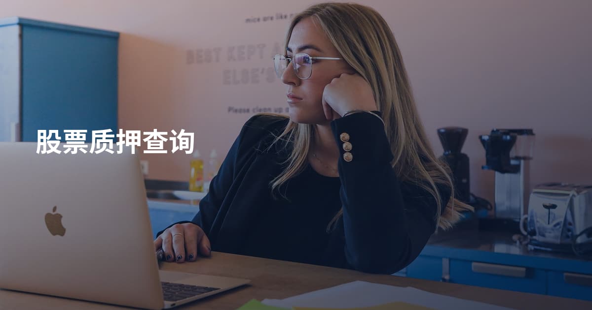 股票质押查询
