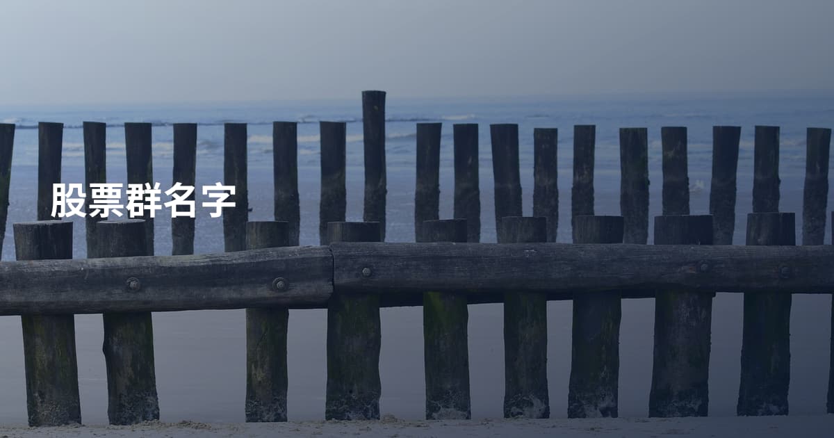 股票群名字