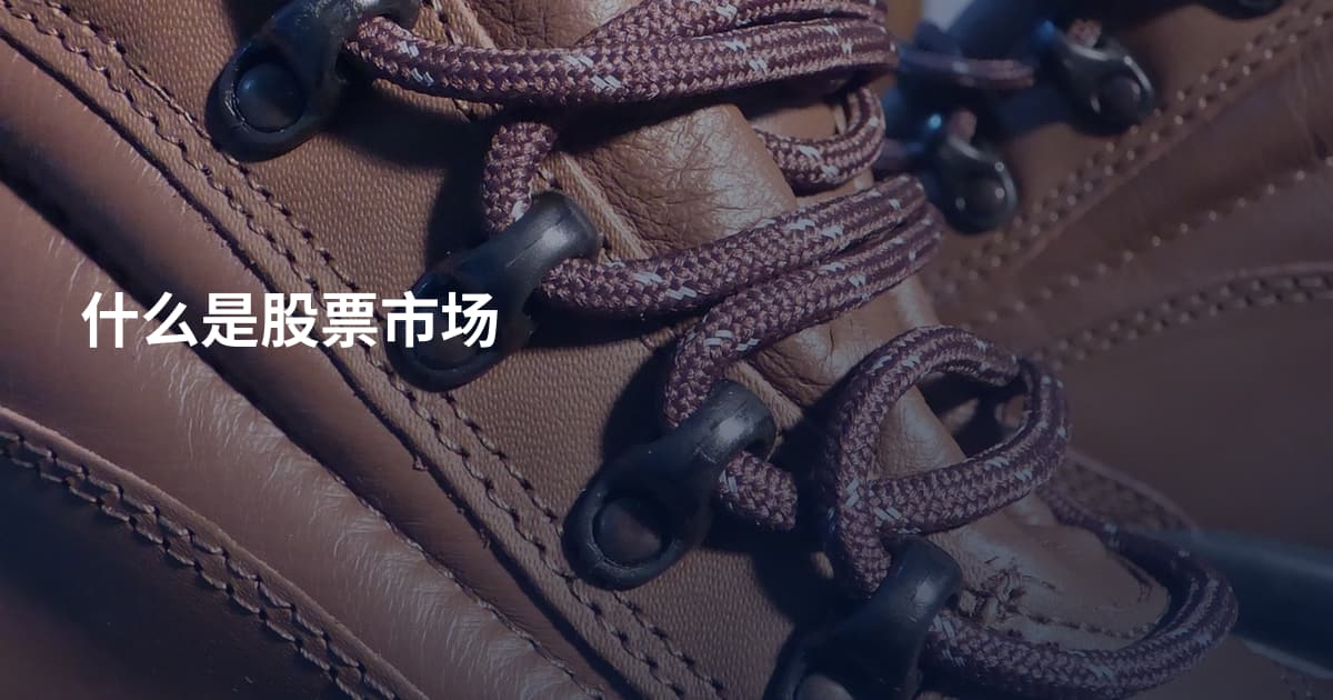 什么是股票市场