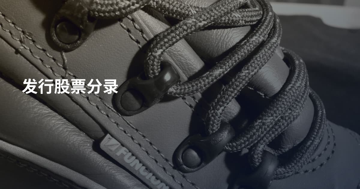 发行股票分录