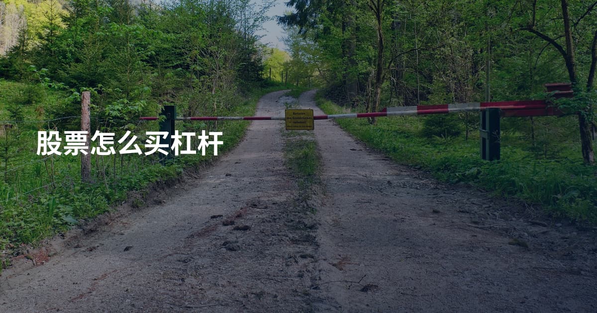 股票怎么买杠杆