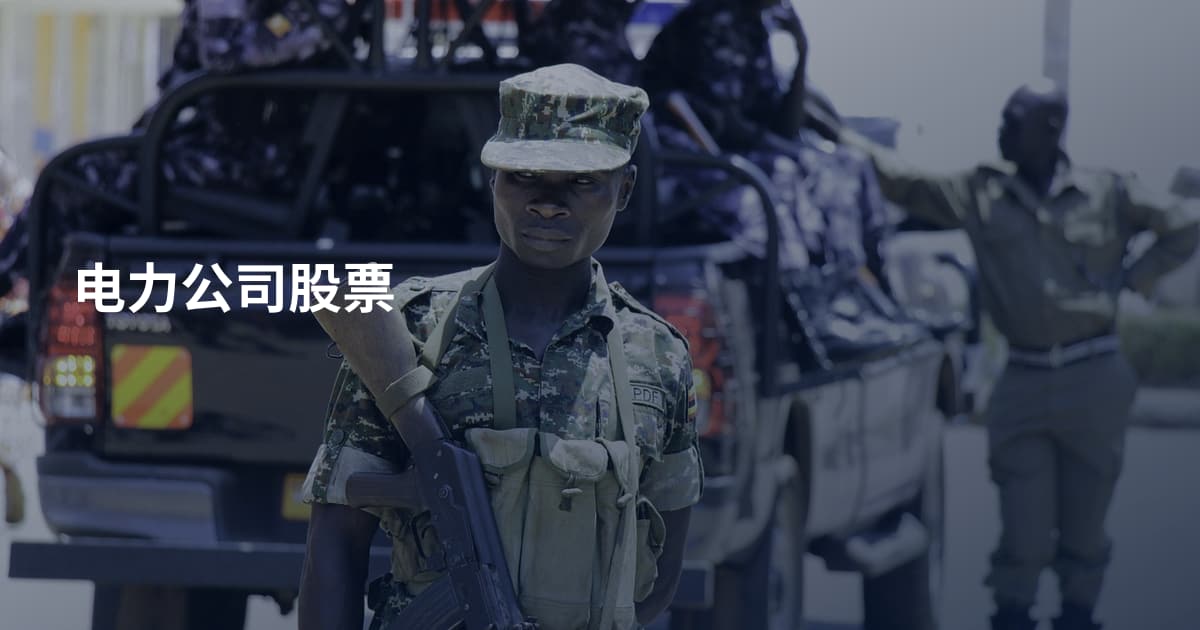 电力公司股票