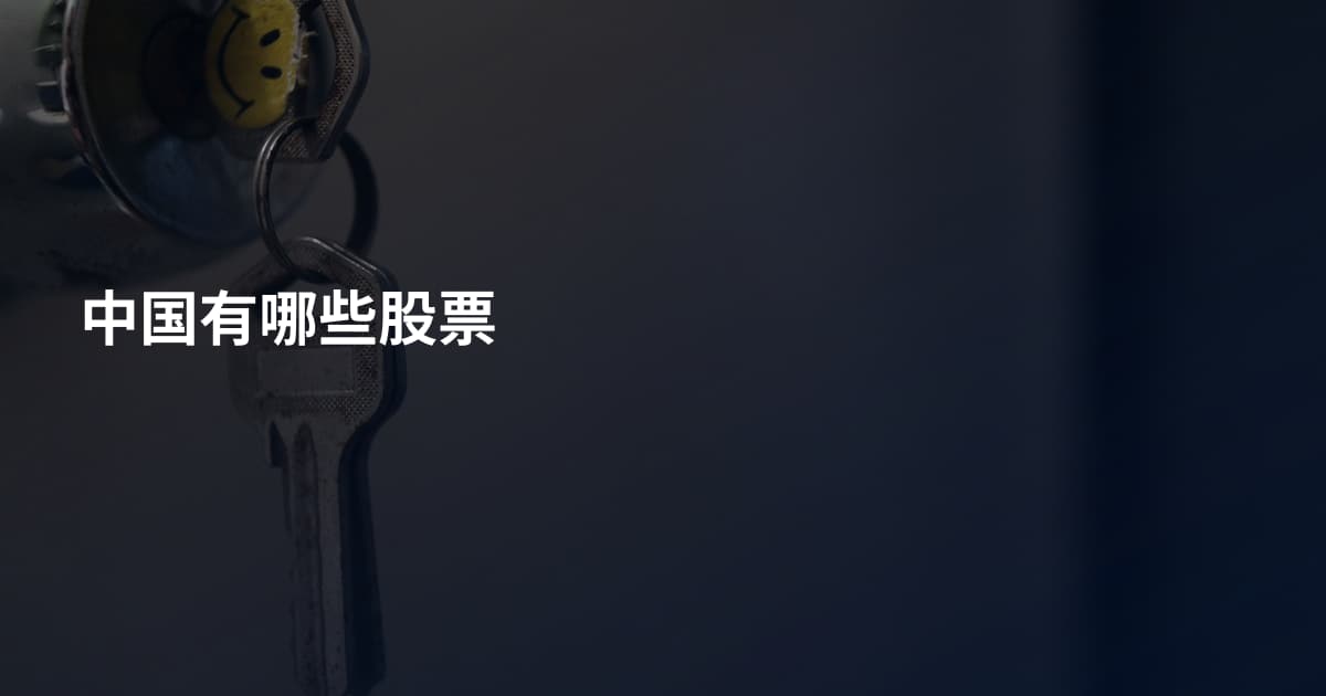 中国有哪些股票