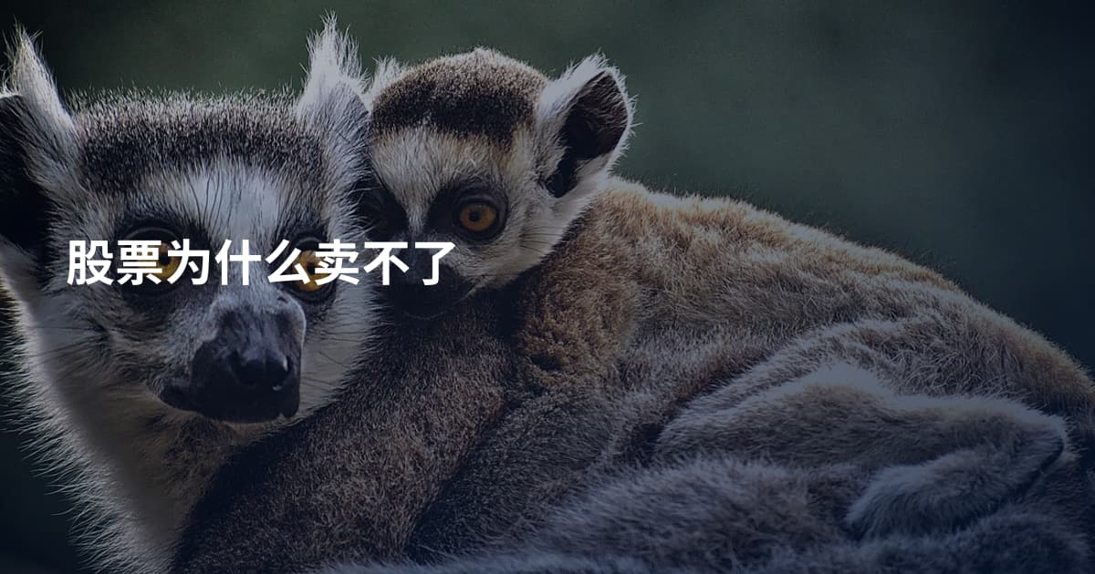 股票为什么卖不了