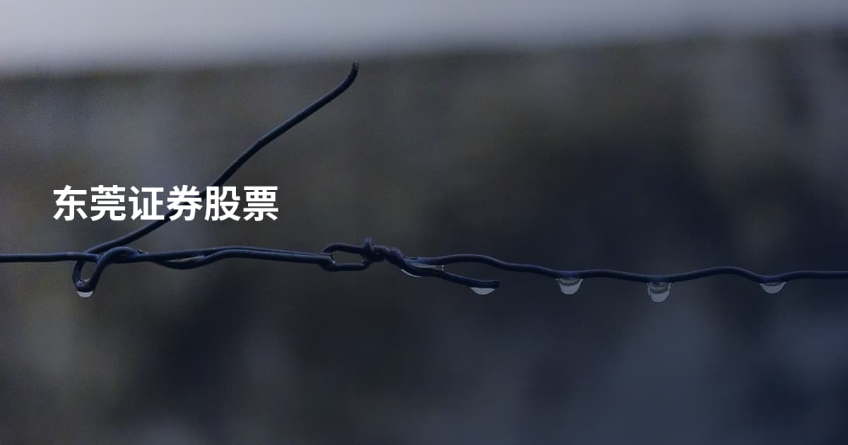 东莞证券股票