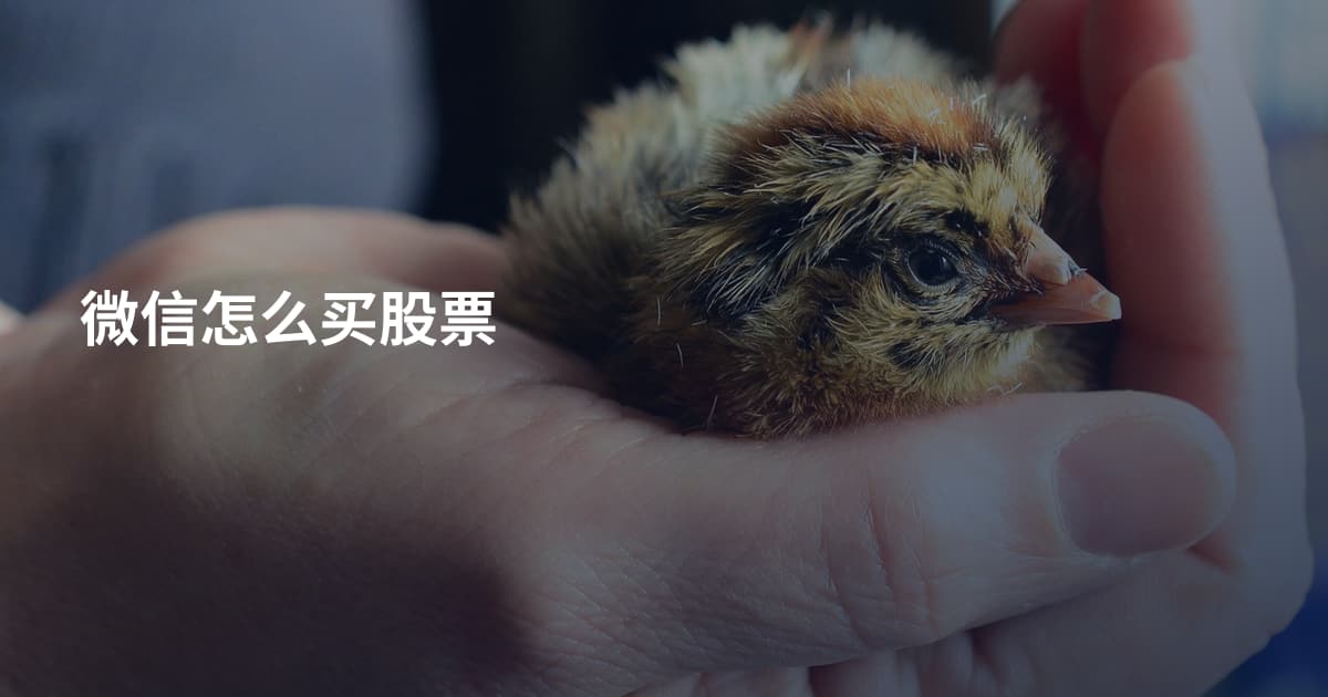 微信怎么买股票