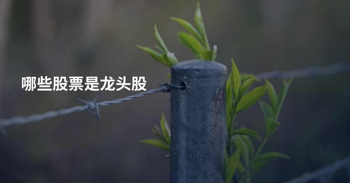 哪些股票是龙头股