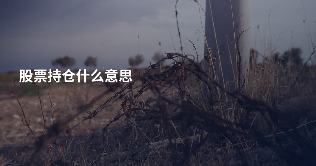 股票持仓什么意思