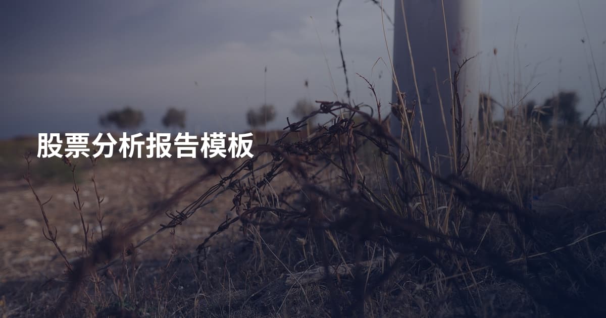 股票分析报告模板