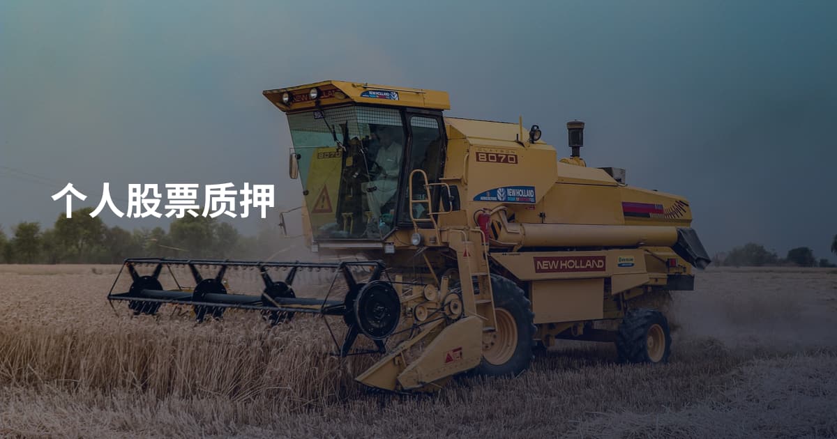 个人股票质押
