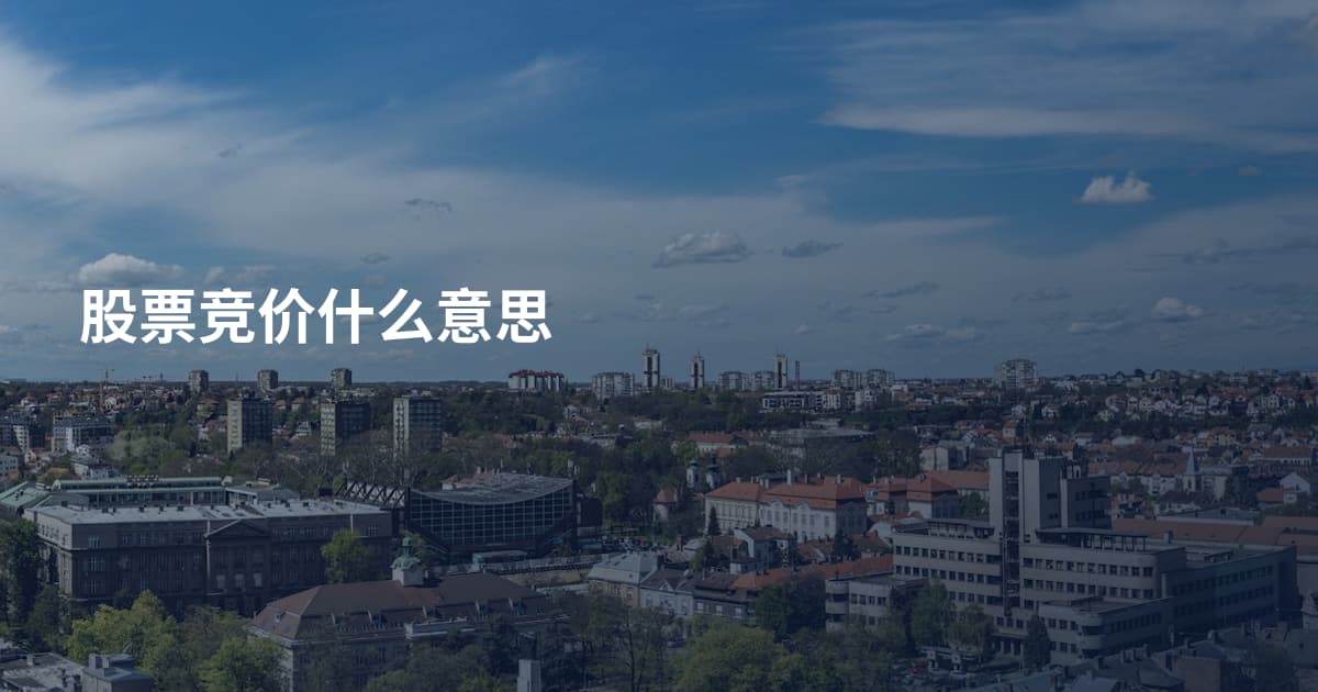 股票竞价什么意思