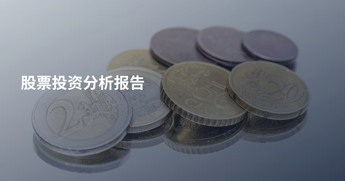 股票投资分析报告