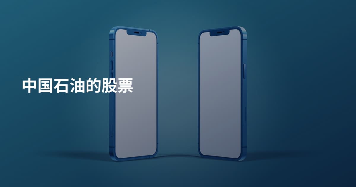 中国石油的股票