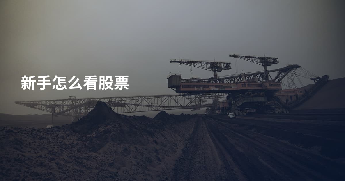 新手怎么看股票