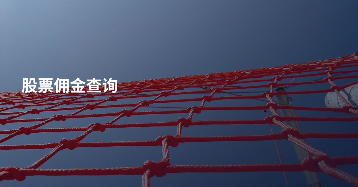 股票佣金查询