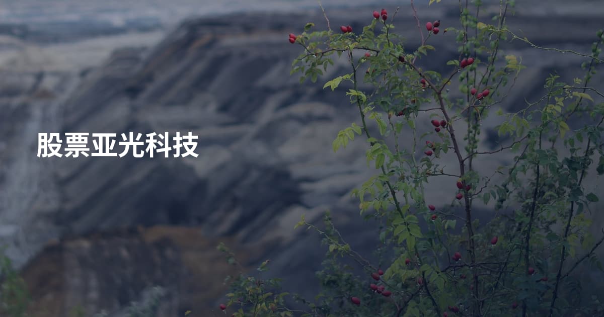 股票亚光科技