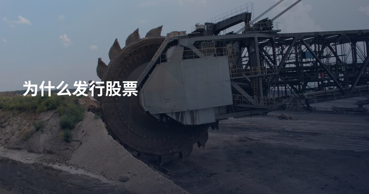 为什么发行股票