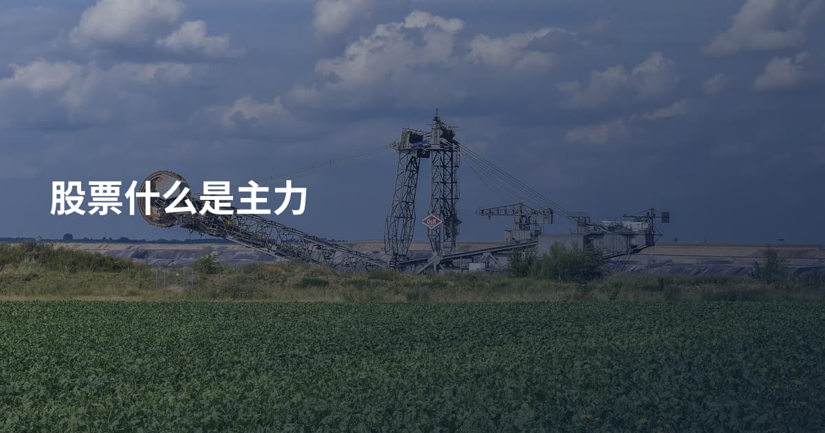 股票什么是主力