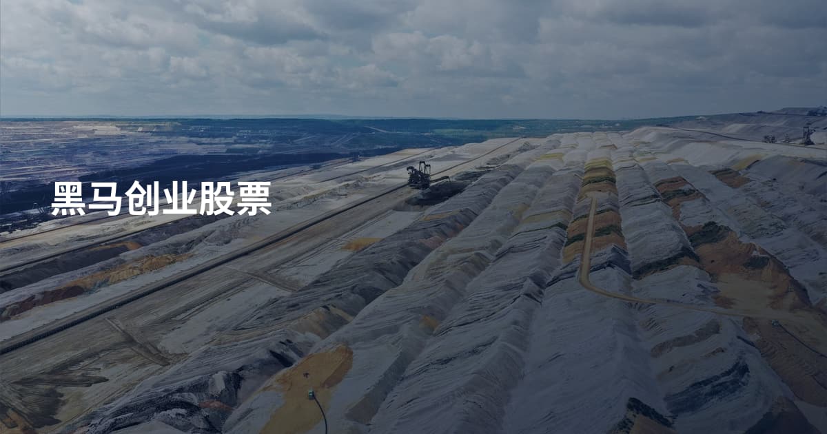 黑马创业股票
