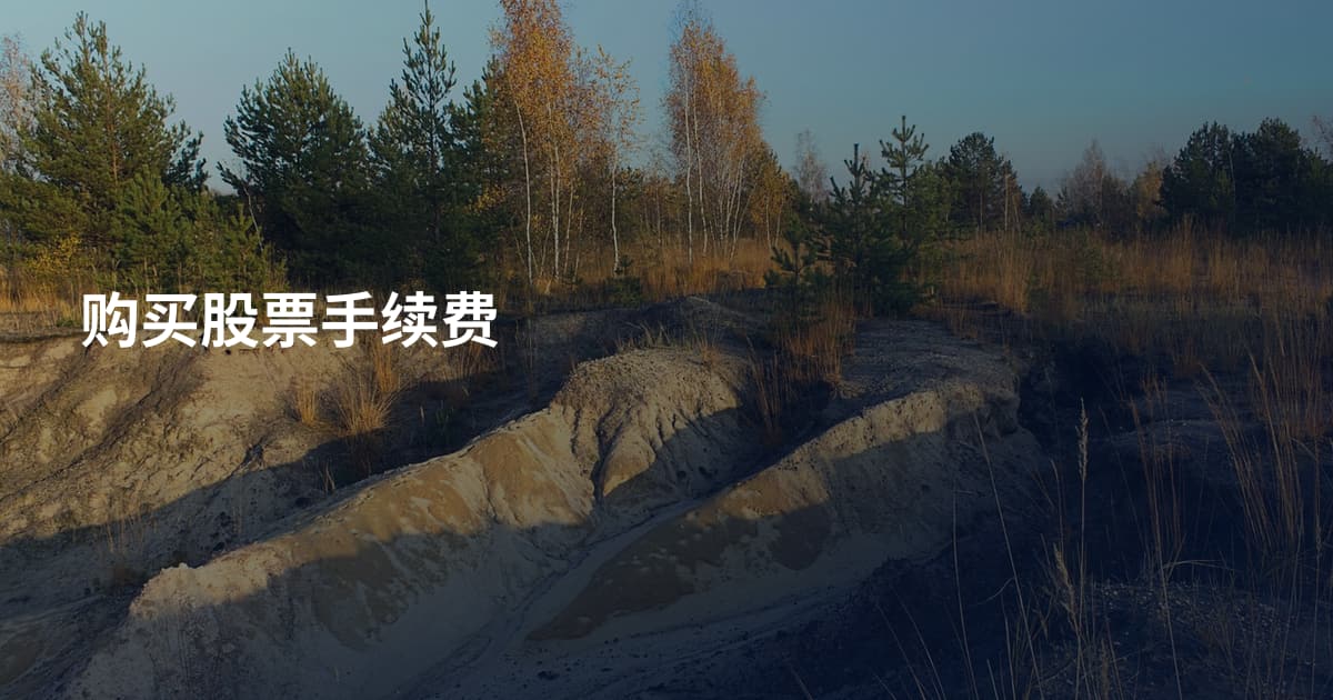 购买股票手续费