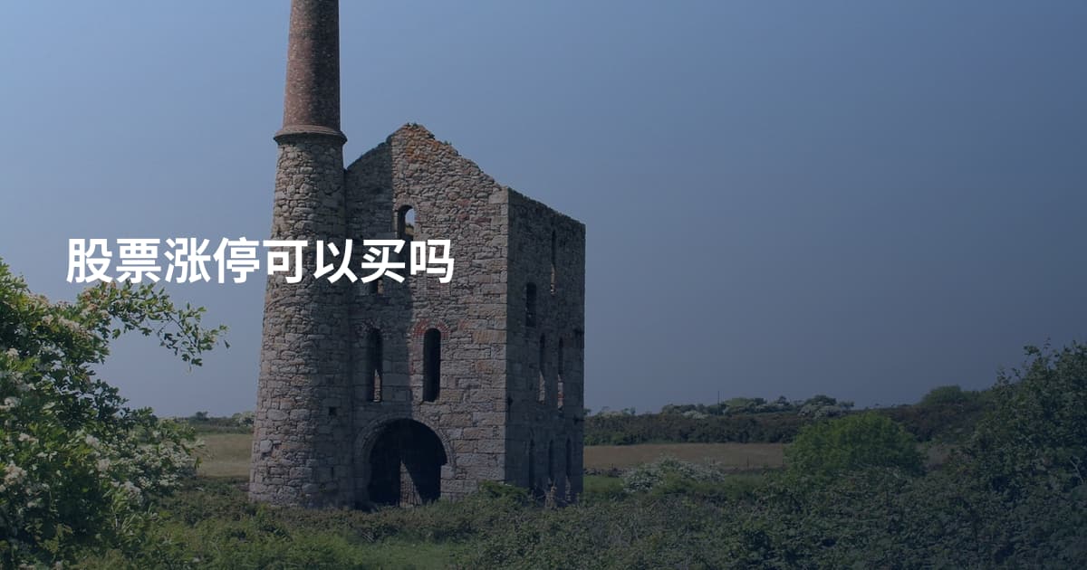 股票涨停可以买吗