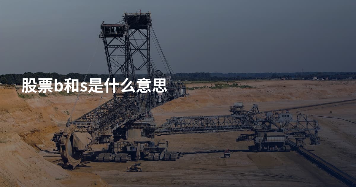 股票b和s是什么意思