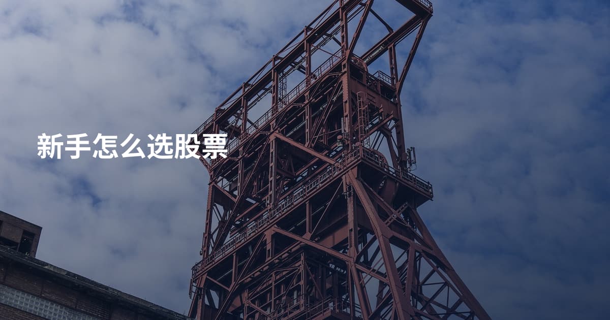 新手怎么选股票