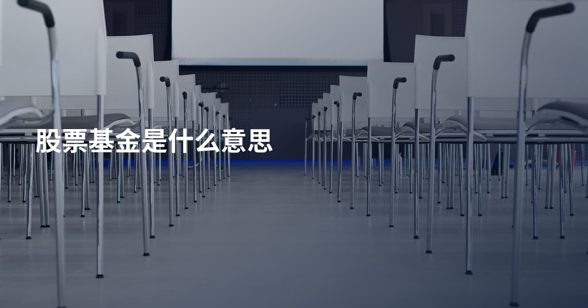 股票基金是什么意思