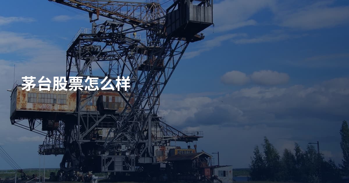 茅台股票怎么样