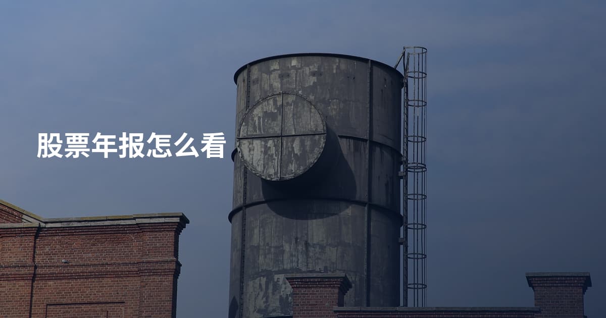 股票年报怎么看