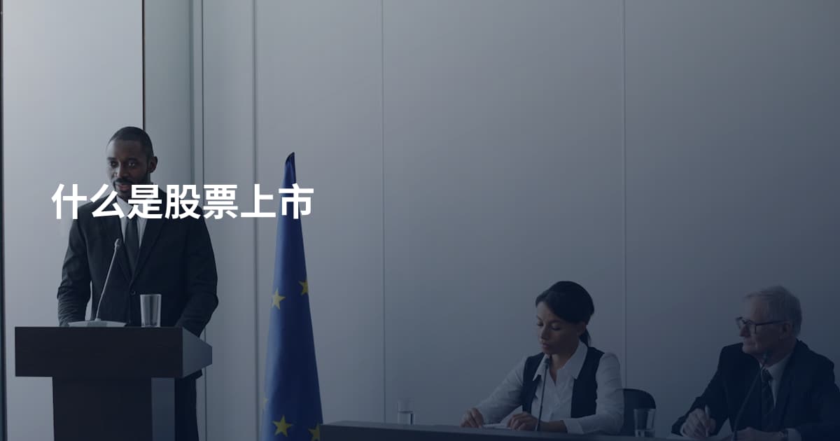 什么是股票上市