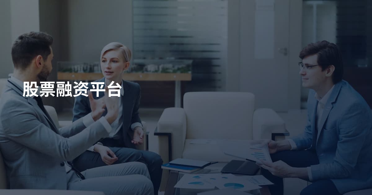 股票融资平台