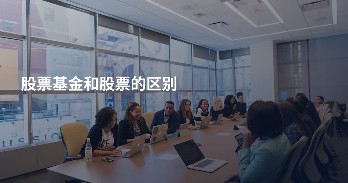 股票基金和股票的区别
