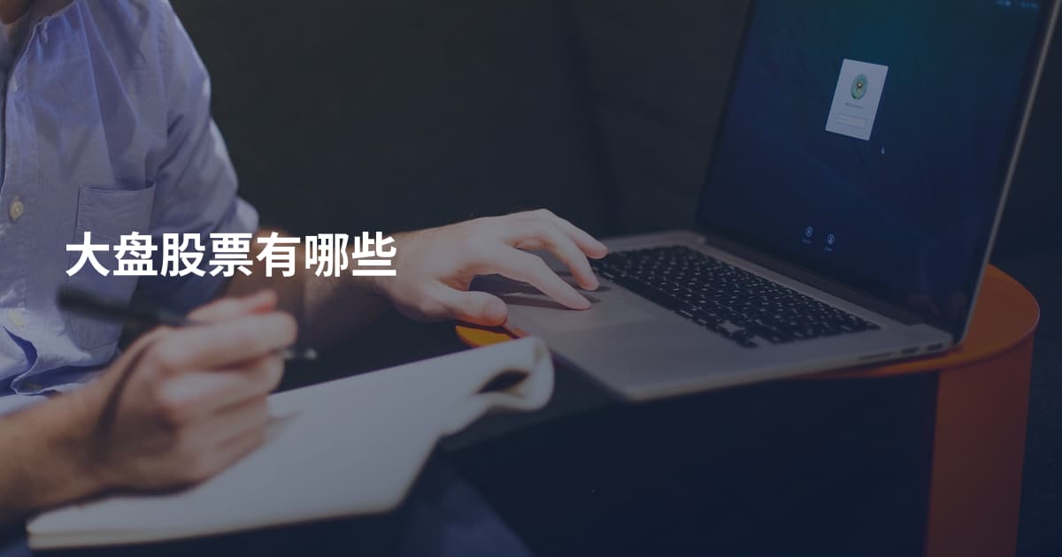 大盘股票有哪些