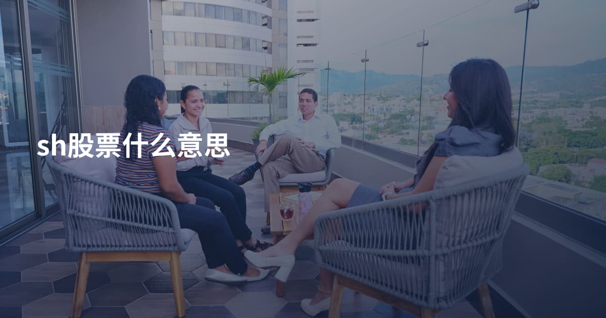 sh股票什么意思