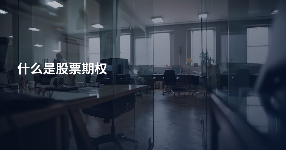 什么是股票期权