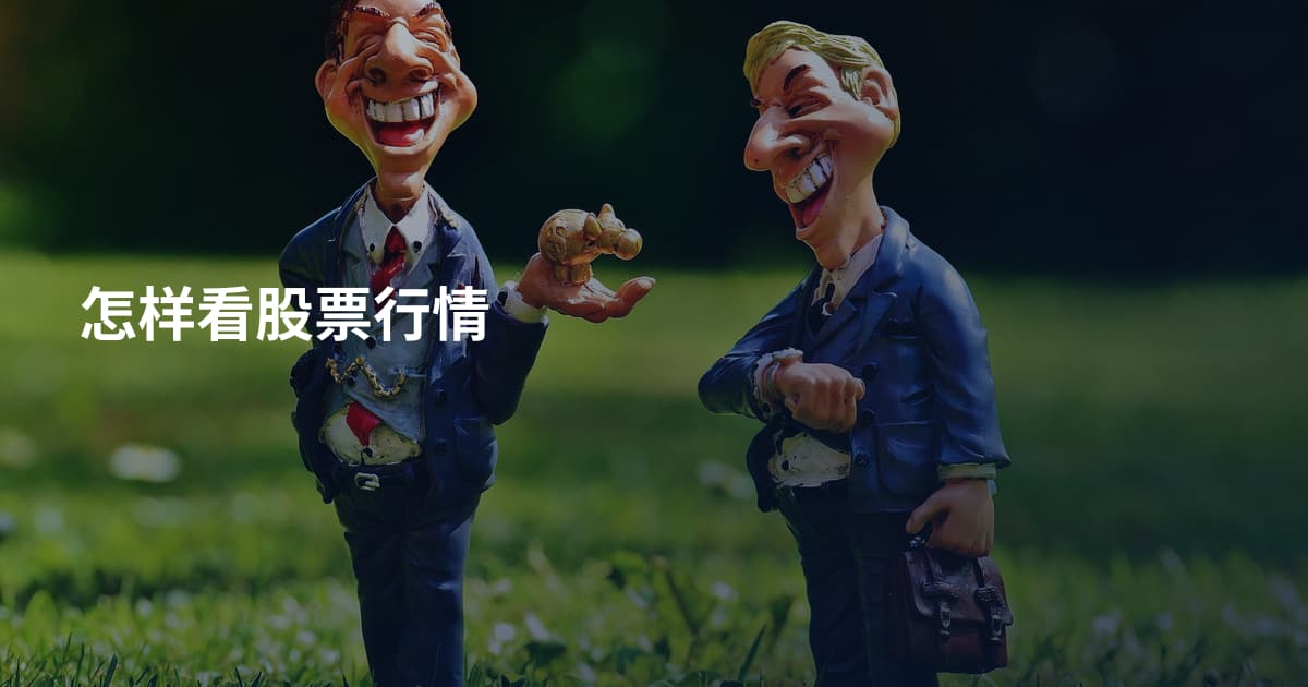 怎样看股票行情