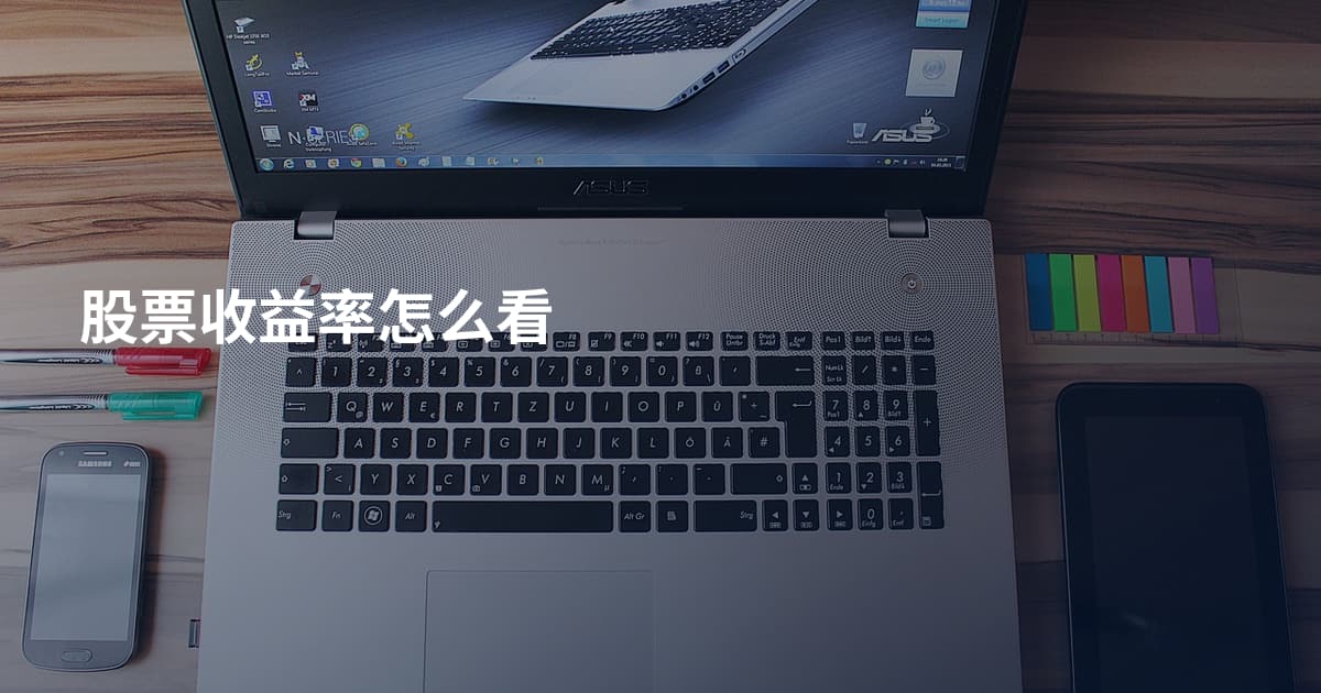 股票收益率怎么看