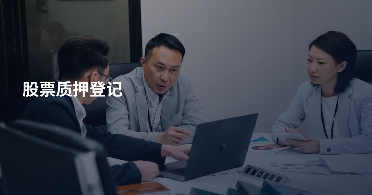 股票质押登记