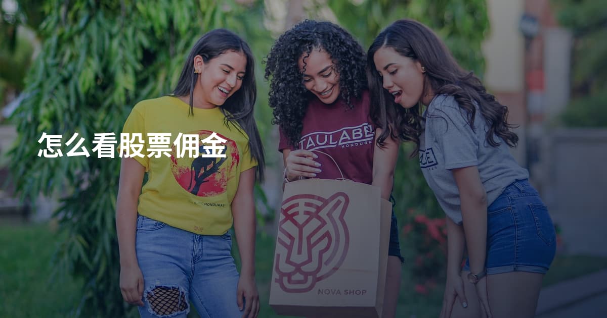 怎么看股票佣金