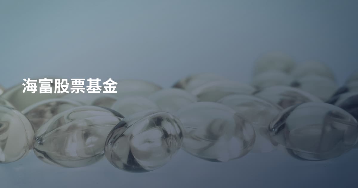 海富股票基金