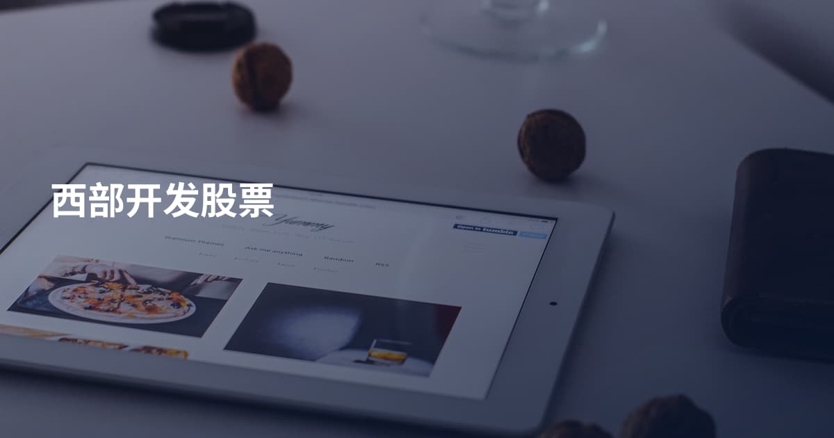 西部开发股票