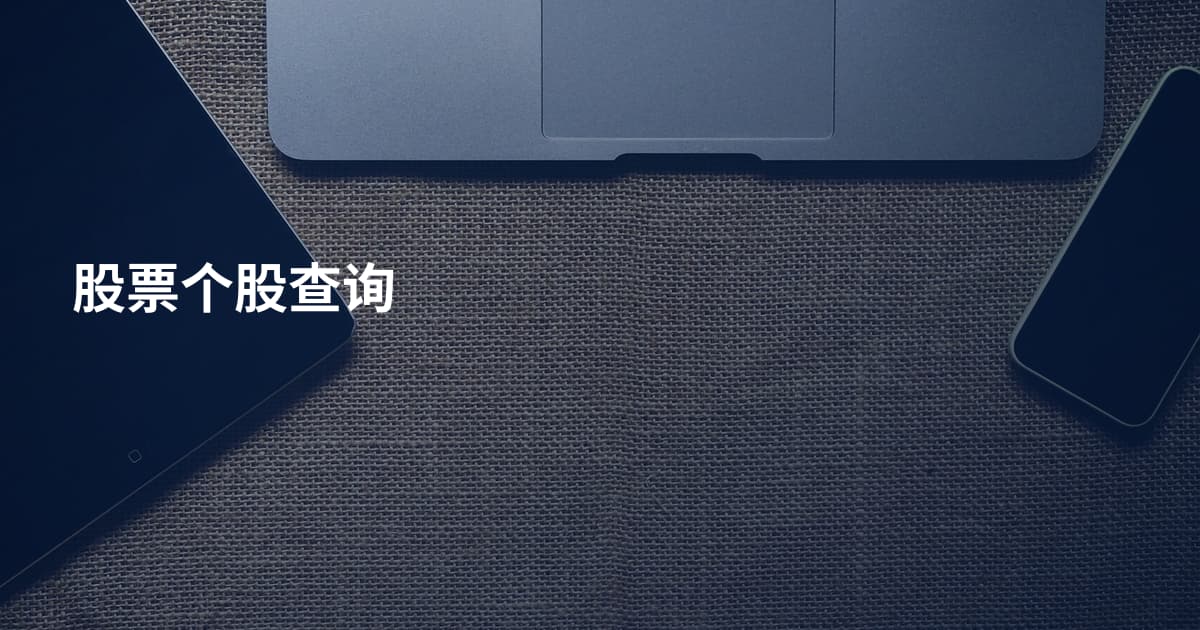 股票个股查询