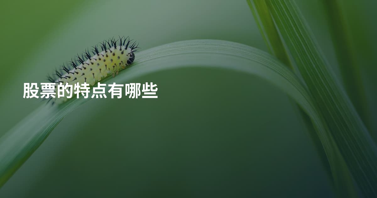 股票的特点有哪些
